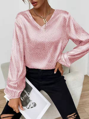 Plus Size Women's Loose Leopard Tops Ladies Long Sleeve Pullover T-Shirts Blouse