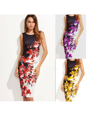 Womens Digital Print Dress Ladies Summer Sleeveless Round Neck Dresses Plus Slim